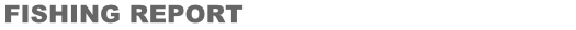 Page Title